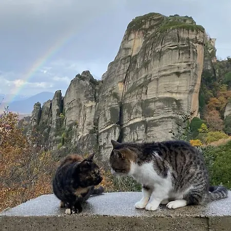 Апартаменты Mikio *